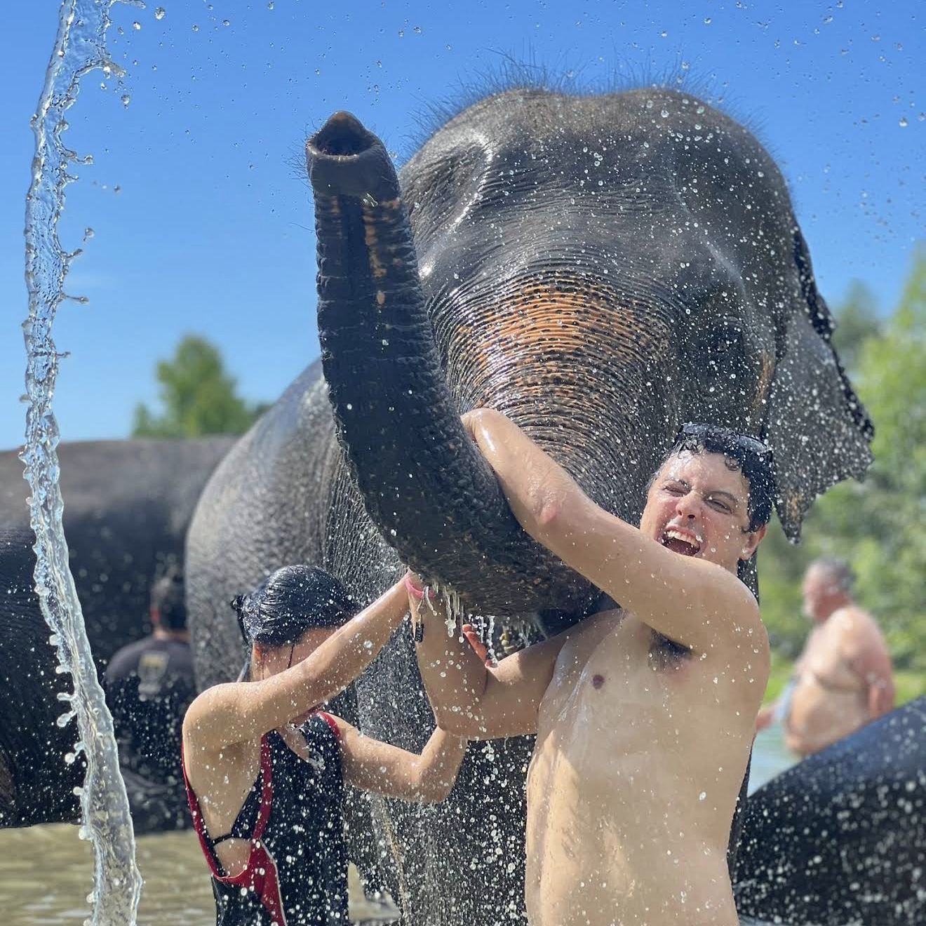 Phuket Elephant Care Sanctuary