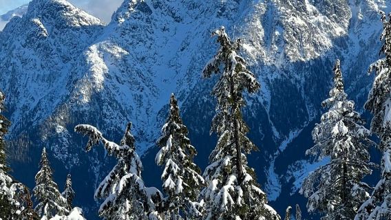 Vancouver: Tour đi bộ trên tuyết có hướng dẫn viên