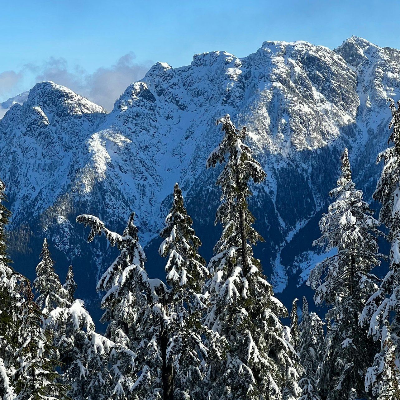 Vancouver: Excursión guiada con raquetas de nieve