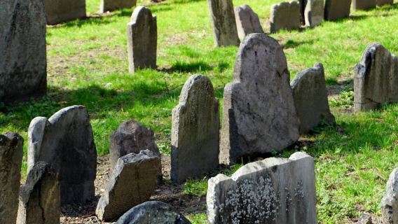 The Freedom Trail: Guided Tour + Old State House & Old South Meeting House Entry