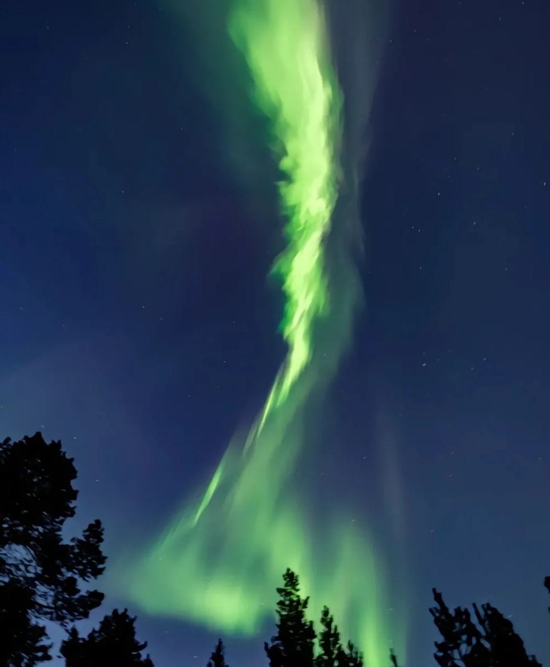 俄羅斯摩爾曼斯克來回捷里別爾卡-可極光/包車-精選