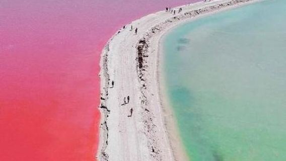 墨西哥坎昆粉紅湖+火烈鳥一日遊/行程可調-可定制多日