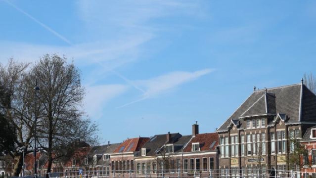 Netherlands Day Tour: Haarlem + Frans Hals Museum + St. Bavo Cathedral Haarlem