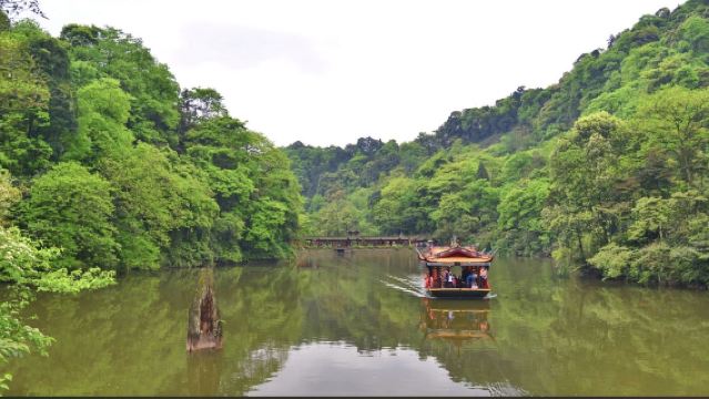 成都出發：都江堰+青城山包車一日遊（世界水利與道教名山）