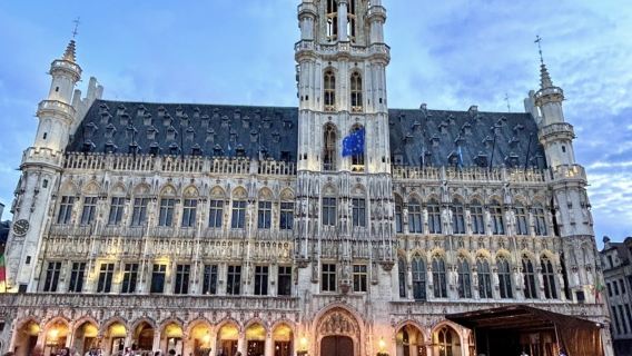 Excursion d'une journée en voiture avec chauffeur à Bruxelles : Cathédrale de Bruxelles, Monde de la Bière Belge, Grand-Place et Manneken-Pis