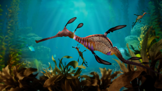 中文包車-新加坡海洋生態館+聖淘沙海灘一日遊-上門接駁