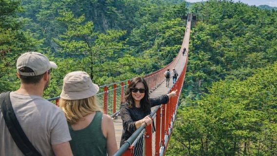 Private DMZ Tour (No Shopping): 3rd Tunnel & Suspension Bridge