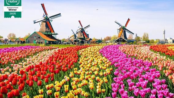 Tour privado de Zaanse Schans y Volendam: molinos de viento, queso y zuecos