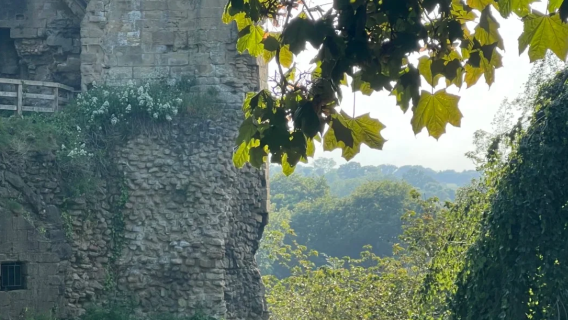 Liverpool Knaresborough Day Tour [Pickup Service & Adjustable Itinerary]