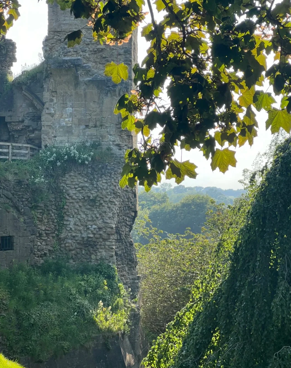 Liverpool Knaresborough Day Tour [Pickup Service & Adjustable Itinerary]