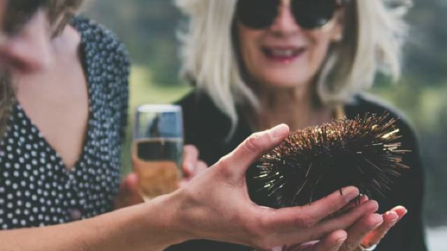 Aanbevolen ervaringen door het toeristenbureau|Tasmanische zeevruchtencruise - Vers van de oceaan op je bord