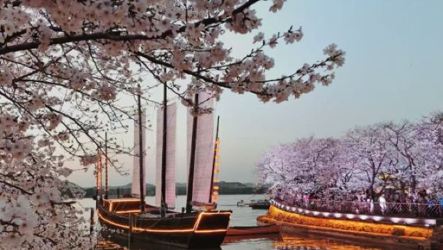 Hangzhou, China - English Professional Guide*Business Interpreter | Guide & Escort