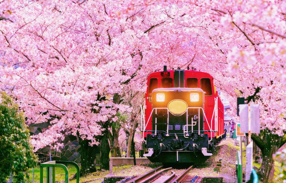 9人小團·京都嵐山+貴船神社+三千院一日遊丨可選嵯峨野小火車