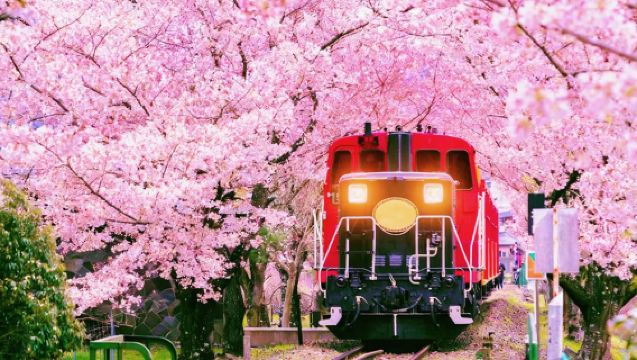 9 人小團 · 京都嵐山＋貴船神社＋三千院一日遊丨可選嵯峨野小火車