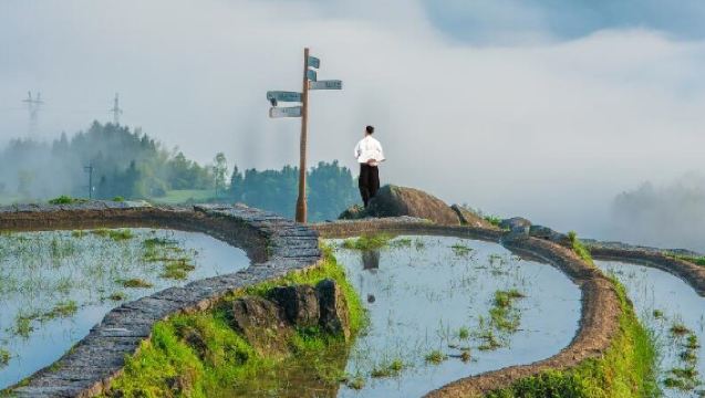 村遊·甌江帆影古村落·古堰畫鄉+江南秘境·雲和梯田包車1日