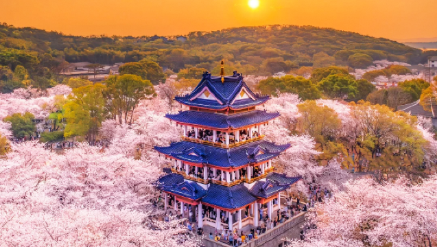 From Shanghai: Wuxi Yuantouzhu + Taihu Fairy Island Flower Viewing private Day Trip