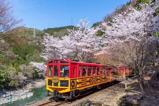 京都保津川遊船，嵯峨野浪漫嵐山小火車之旅半日遊