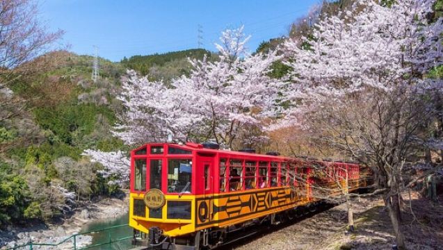 Tour di mezza giornata a Kyoto con crociera sul fiume Hozu e treno romantico di Sagano ad Arashiyama