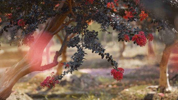 Khoảnh khắc Du lịch Bình Nam[Dịch vụ chụp ảnh và quay phim - ảnh gia đình - ảnh cá nhân - ảnh cặp đôi/tình nhân - video ngắn - phim quảng cáo - chân dung - ảnh cưới - Tặng kèm toàn bộ file gốc]