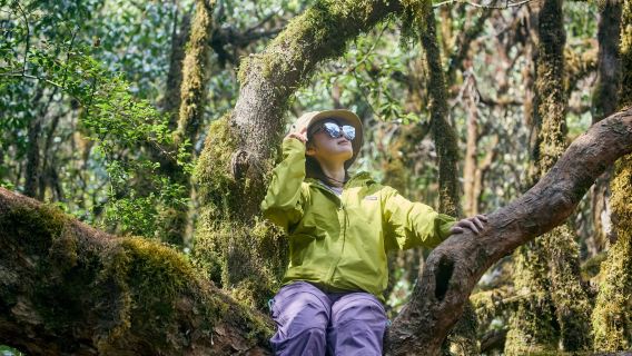Lawatan Sehari Mendaki 5km/9km di Hutan Bola Bulu + Fotografi Profesional + Dapur Hutan
