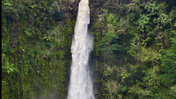 Taman Negara Gunung Berapi Hawaii + Air Terjun Pelangi + Taman Negeri Air Terjun Akaka + Tarikan Boleh Disesuaikan