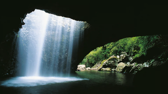 Lawatan Sehari Taman Negara Springbrook di Gold Coast, Australia