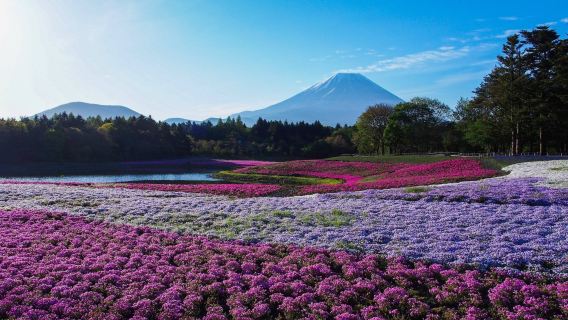 日本北海道-札幌來回小樽-朝里-定山溪溫泉-私享行