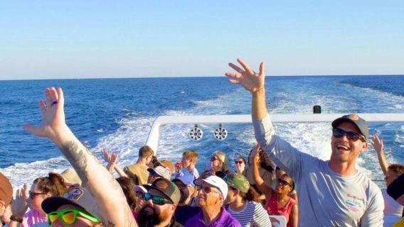 Destin: Dolphin Sightseeing Cruise by Sea Blaster