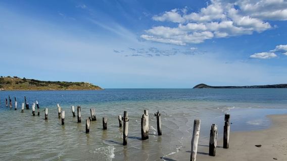 Entdecken Sie die geführte Wanderung durch Victor Harbor