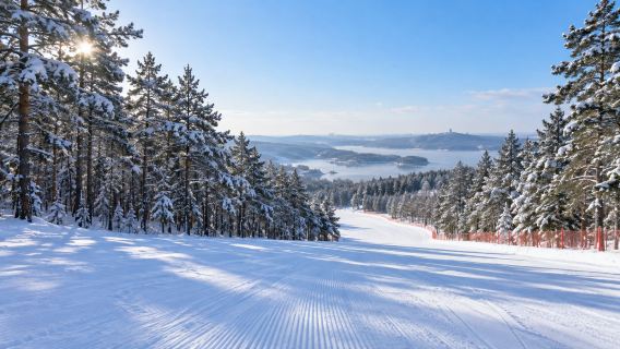 Jingyuetan Ski Resort + Jilin Provincial Museum of Natural History + natural specimens 1-day tour