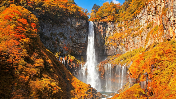 Small group of 9 people - fall maple viewing · Nikko 1-day tour: Toshogu Shrine + Lake Chūzenji + Kegon Waterfalls
