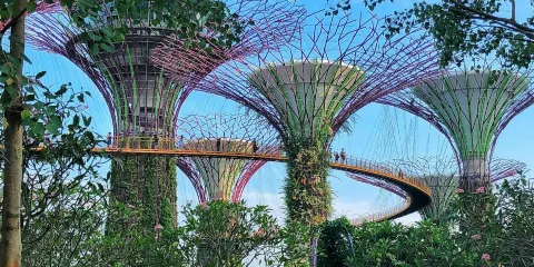 新加坡濱海灣花園:導賞團