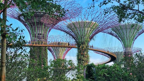 Gardens by the Bay: Guided Tour