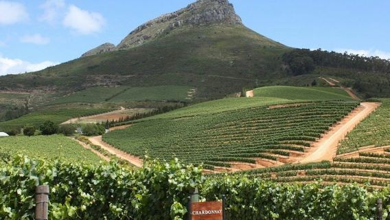 Stellenbosch & Franschhoek: Wine Tasting + Roundtrip Transfer From Cape Town