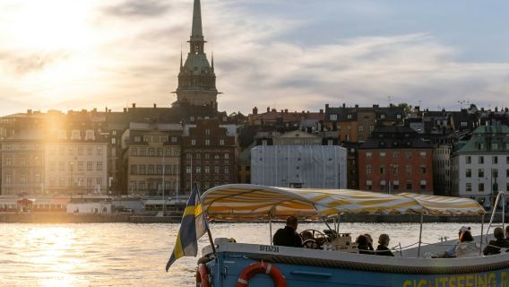 Stockholm : excursion en bateau avec guide touristique en direct