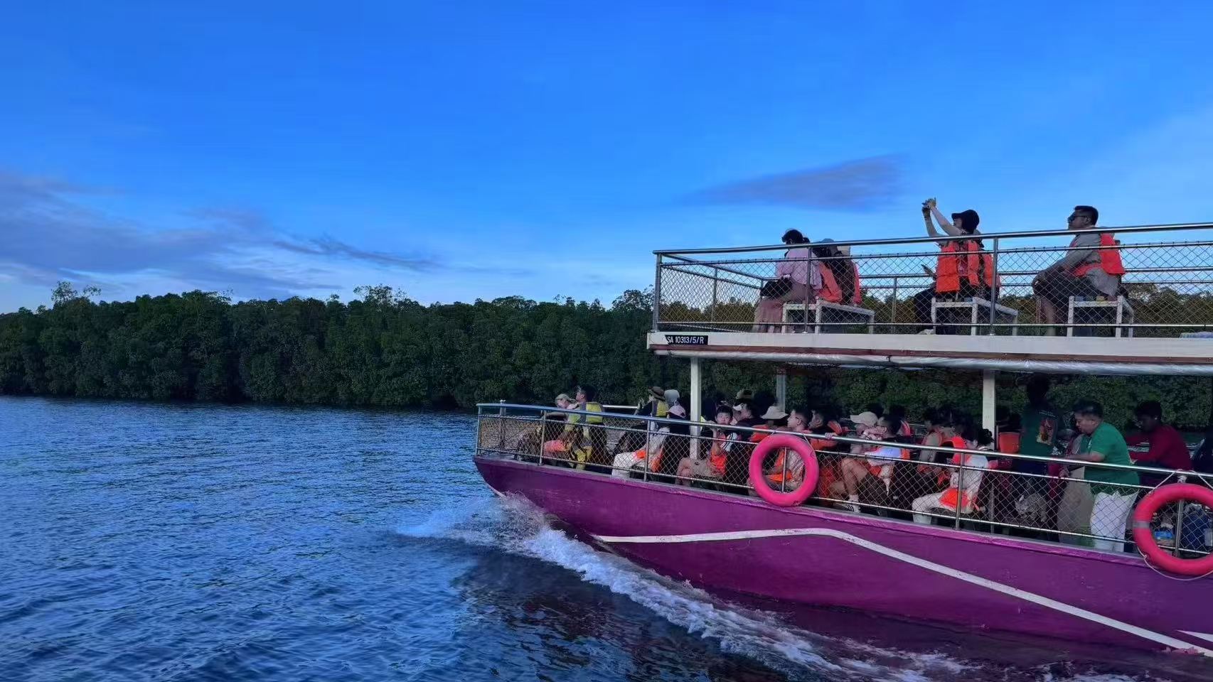 仙本那紅樹林|漫天螢火蟲+下午茶+海釣+海鮮自助餐+接送+日落