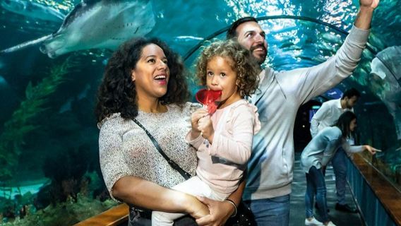 Loro Parque: Tiket Masuk + Diamond Pass