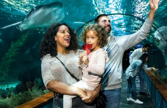 Loro Parque：入場門票+鑽石級通行證