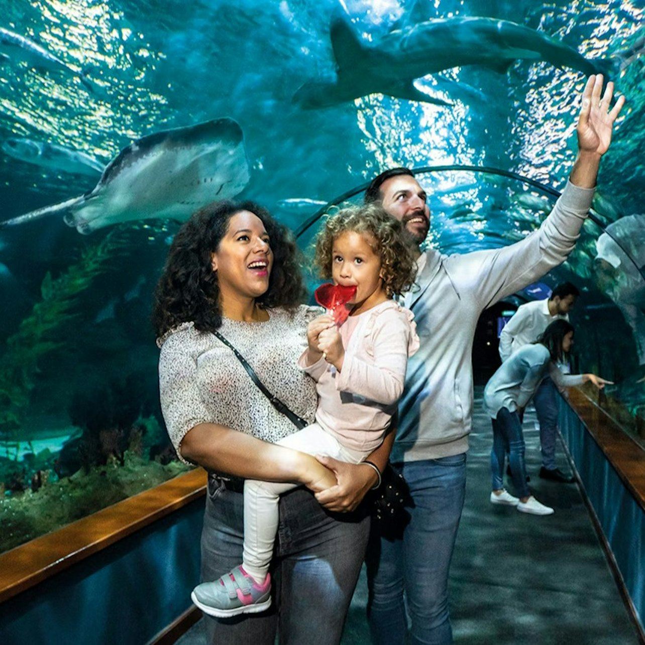 Loro Parque: Toegangsticket + Diamond Pass