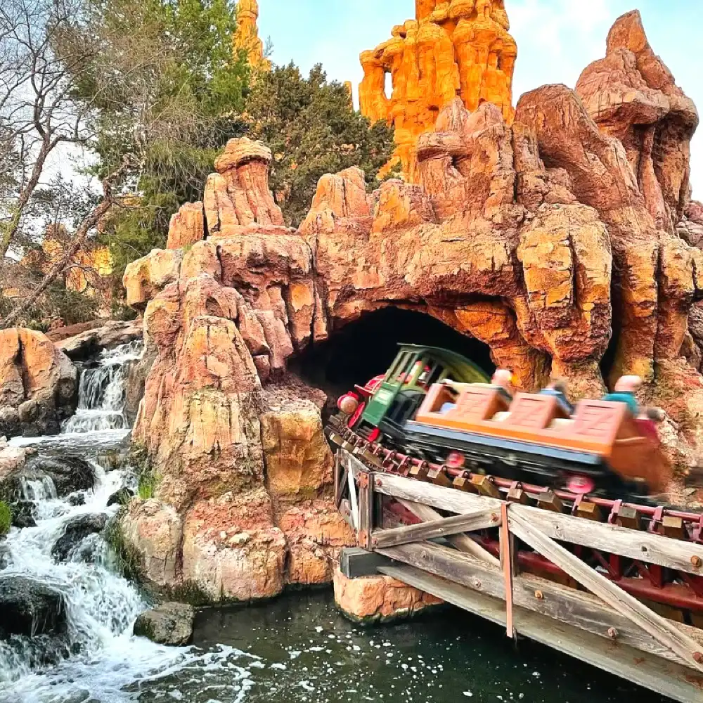 One-day tour of Disneyland and Disney California Adventure Park in California