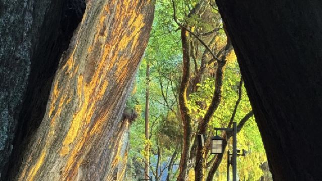 Lawatan sehari Jinyun, Lishui Zhejiang: Xiandu + Kampung Kuno Heyang (Tarikan pelancongan boleh disesuaikan)