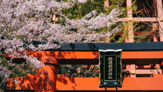 tour 1 ngày đến Đền Yutoku Inari ở Saga, Mifuneyama Rakuen và Nhà máy sản xuất rượu Sake tại Tosu Outlets