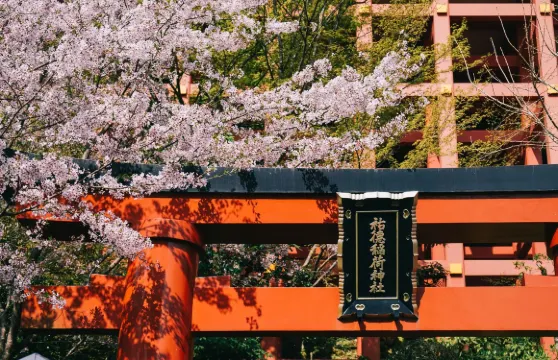 佐賀祐徳稲荷神社+御船山樂園賞杜鵑+鳥栖奧萊一日遊 探秘酒造
