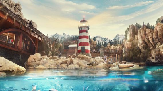 From Abu Dhabi Private Tour: Half Day Abu Dhabi City with Mosque & Sea World