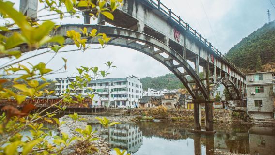 Jingdezhen professional tour guide/foreign language guide: Explore the Porcelain Palace and Yaoli Ancient Town Foreign guest reception EA