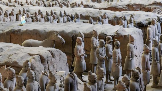 Experienced tour guide service in Xi'an. You can choose your own language. Customized route. Terracotta Warriors, Huaqing Palace, Xi'an City Wall, Huashan Mountain
