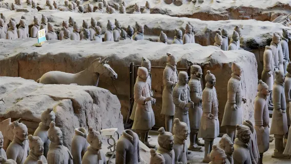 Experienced tour guide service in Xi'an. You can choose your own language. Customized route. Terracotta Warriors, Huaqing Palace, Xi'an City Wall, Huashan Mountain