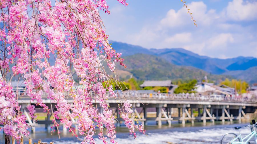 【京都網紅美景打卡】勝尾寺+美山茅葺屋集落+嵐山一日遊