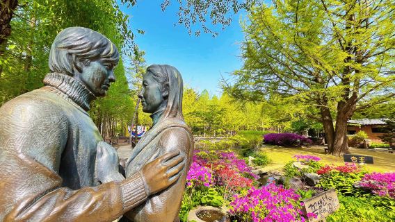 Tour di un giorno a Nami Island + Petit France + Italian Village + Giardino Botanico di Cheongpyeong (partenza da Seul)