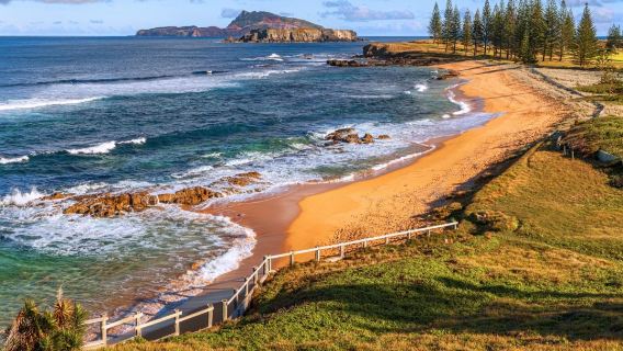 澳洲菲利普島自然公園一日遊【企鵝歸巢/瑪璐無尾熊與動物園】